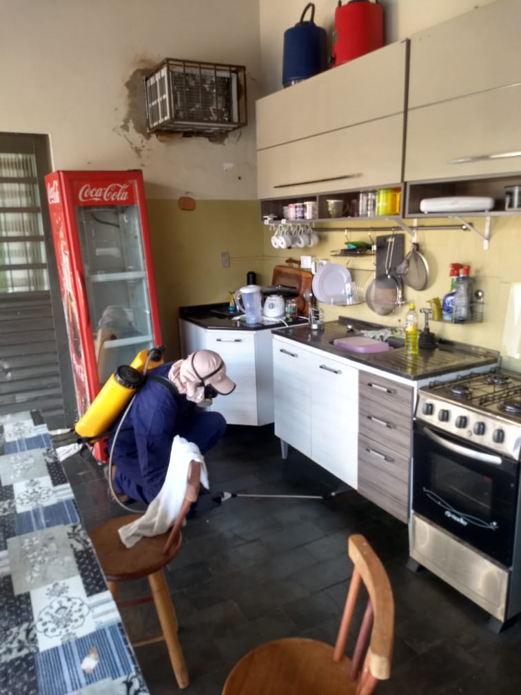 Dedetização em residência em Campo Grande